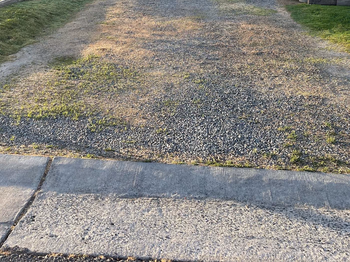Gravel and weed driveway before replacement, Sacramento area