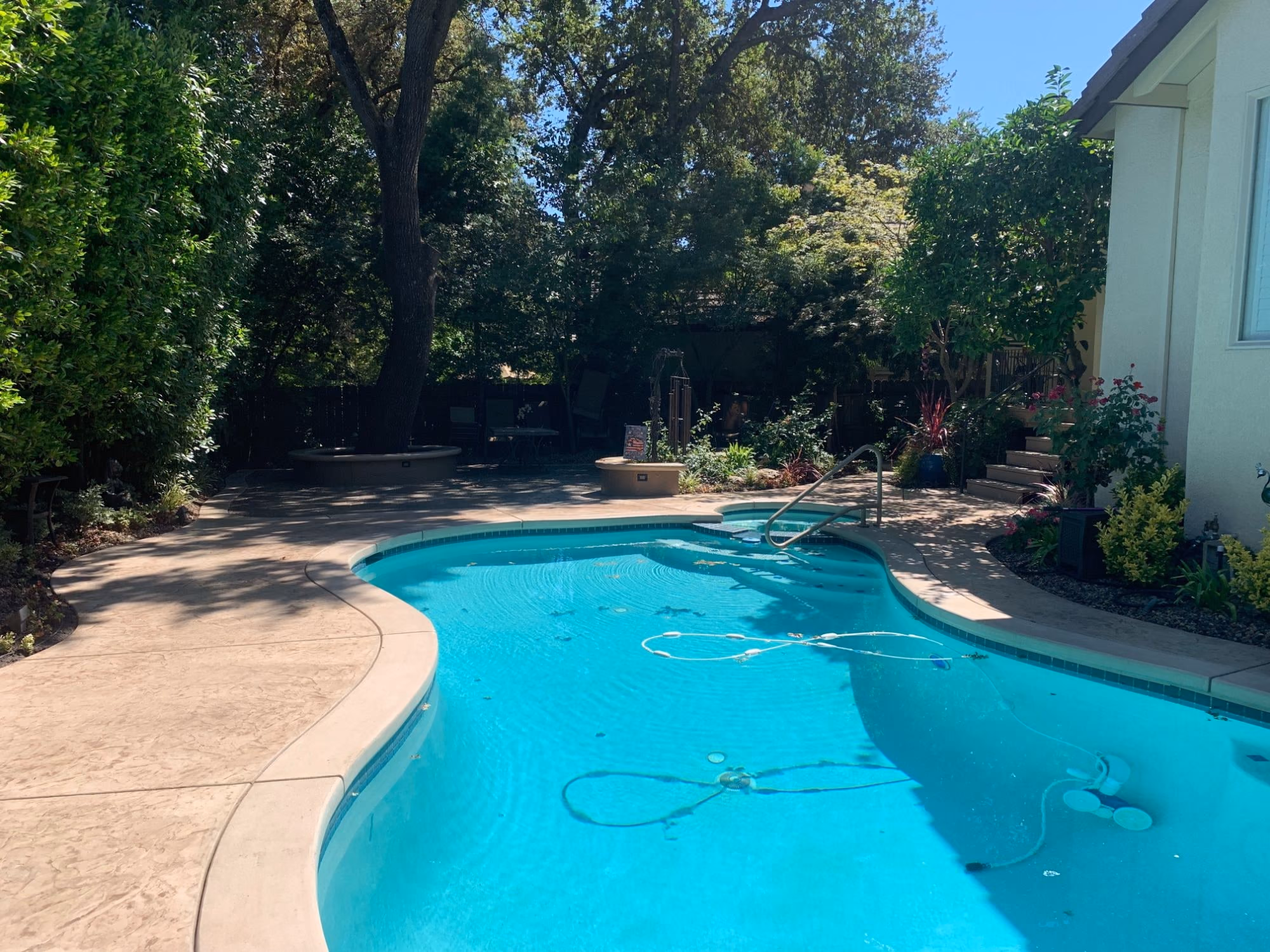 Concrete pool surround by CA Pro Concrete, Sacramento CA