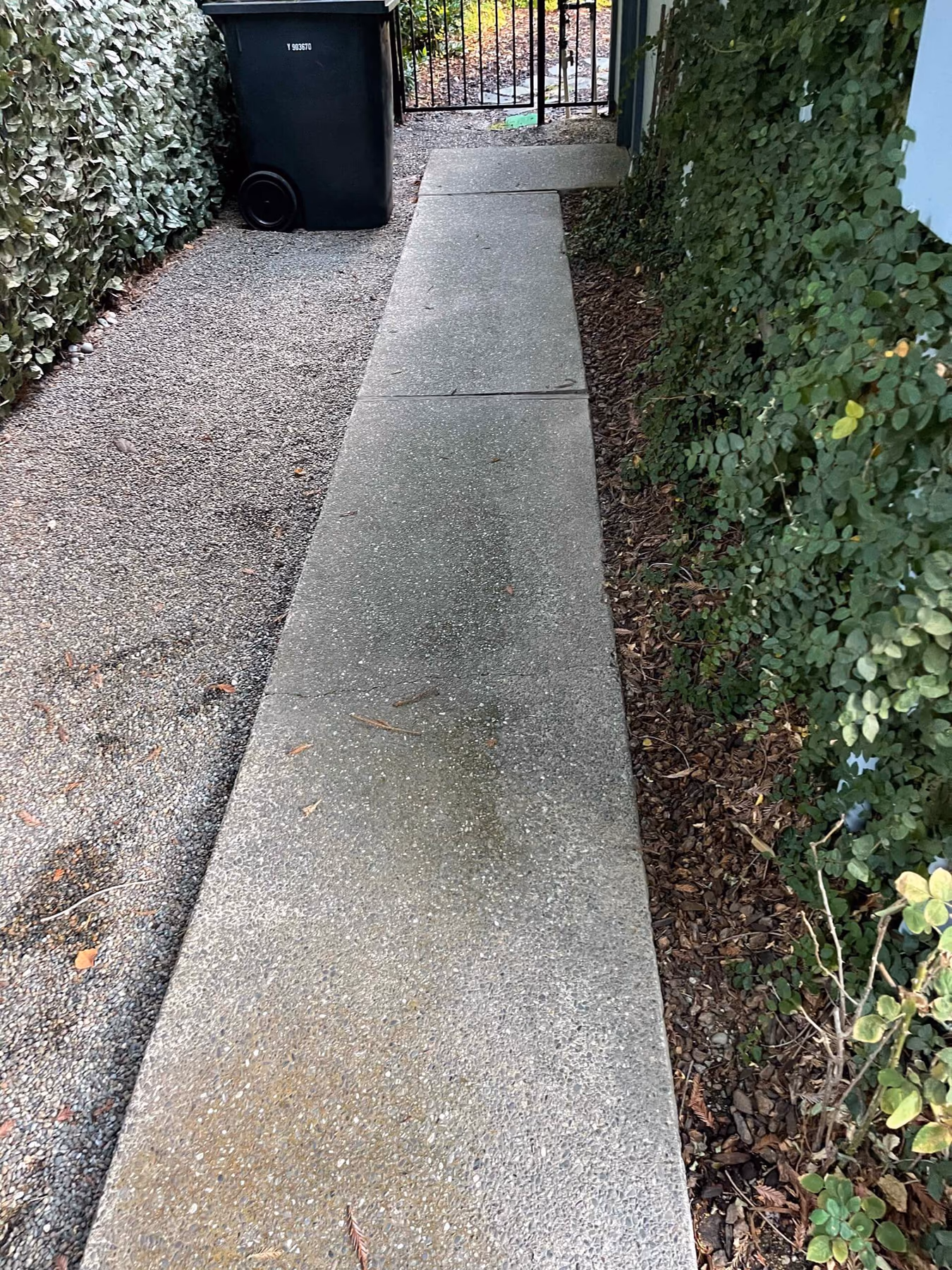 Concrete walkway installed by CA Pro Concrete