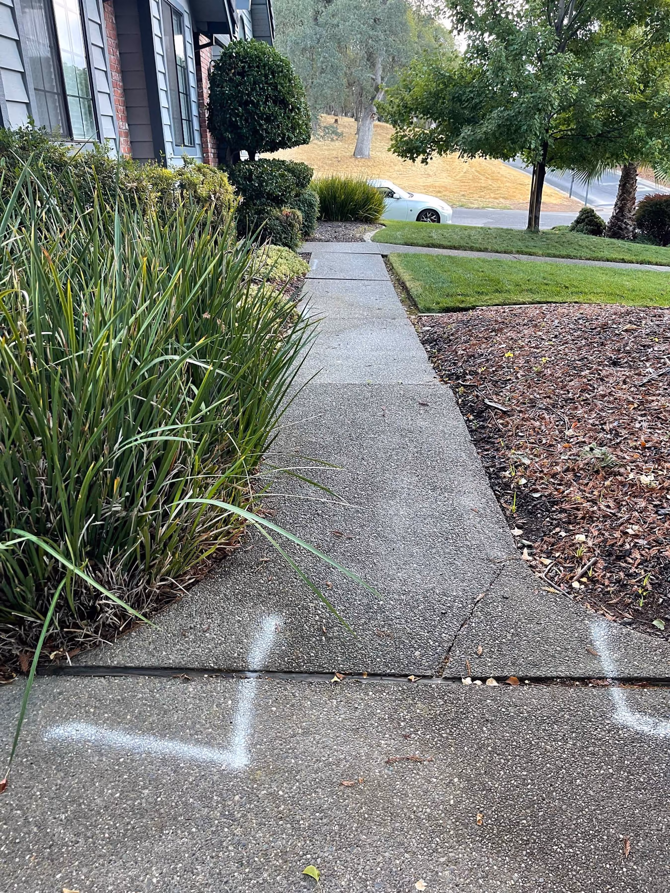 Concrete walkway installed by CA Pro Concrete