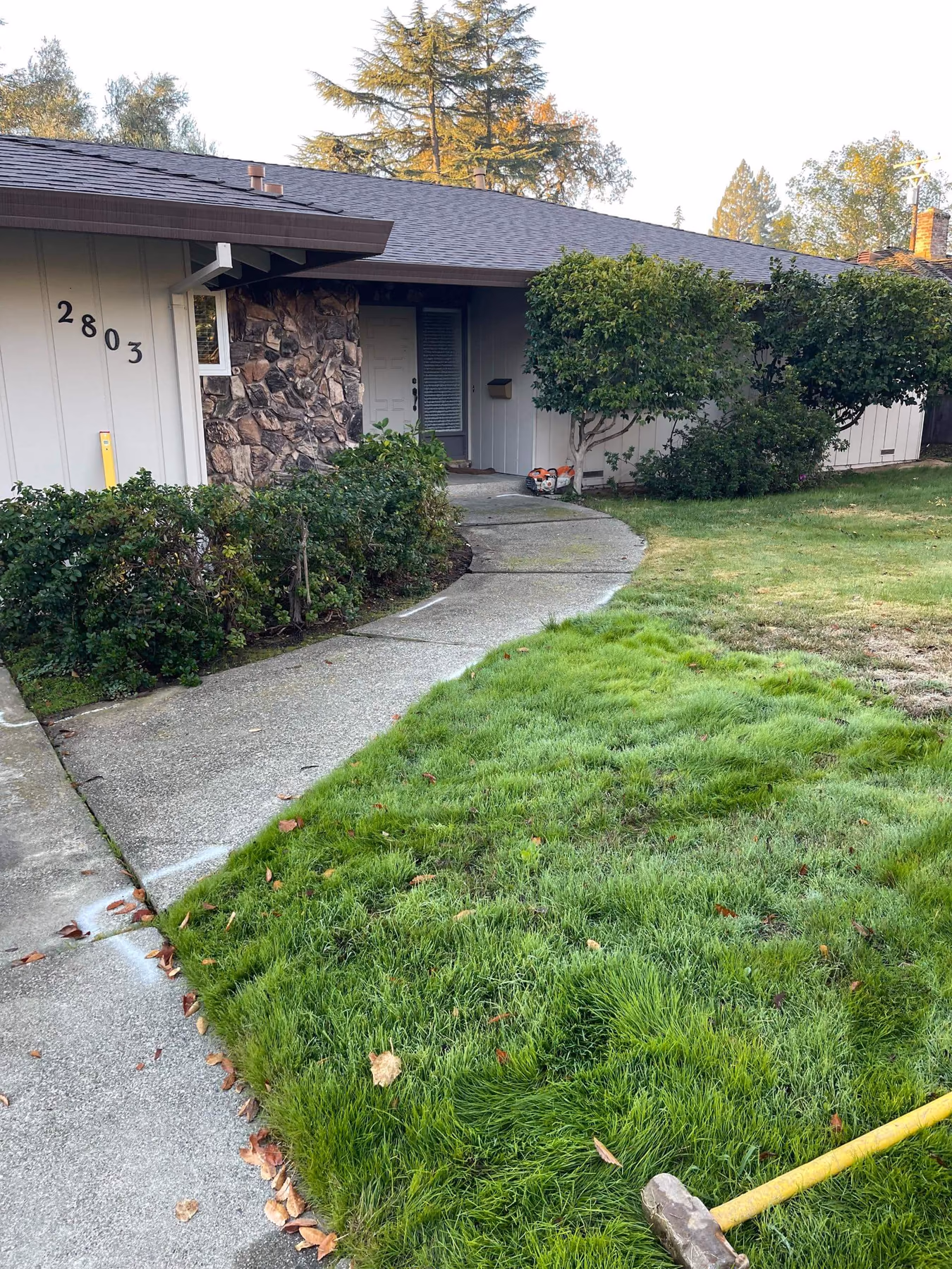 Concrete walkway installed by CA Pro Concrete